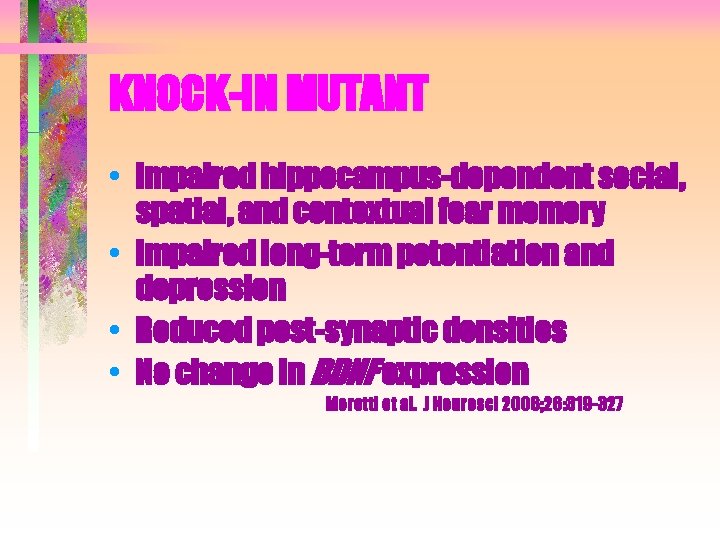 KNOCK-IN MUTANT • Impaired hippocampus-dependent social, spatial, and contextual fear memory • Impaired long-term