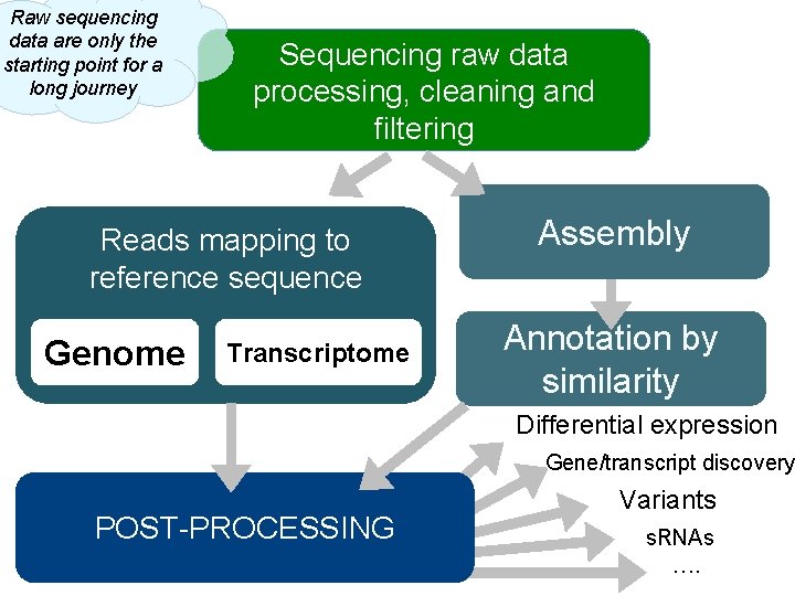 Raw sequencing data are only the starting point for a long journey Sequencing raw