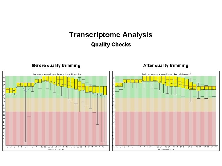 Transcriptome Analysis Quality Checks Before quality trimming After quality trimming 