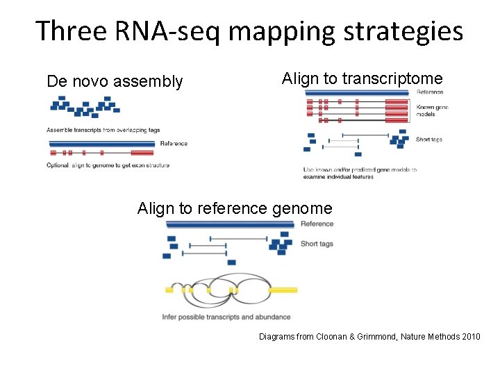 Three RNA-seq mapping strategies De novo assembly Align to transcriptome Align to reference genome