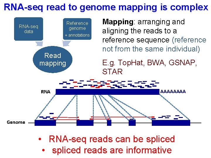 RNA-seq read to genome mapping is complex Reference genome RNA-seq data + annotations Read