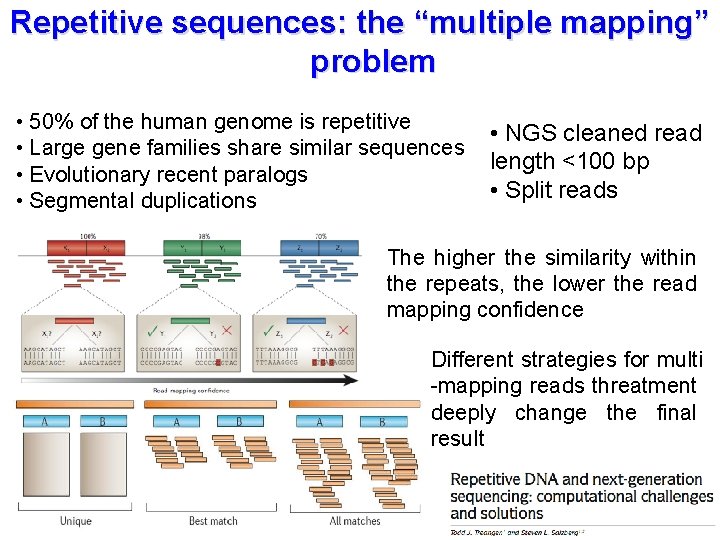 Repetitive sequences: the “multiple mapping” problem • 50% of the human genome is repetitive