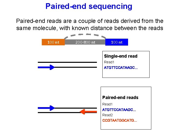 Paired-end sequencing Paired-end reads are a couple of reads derived from the same molecule,