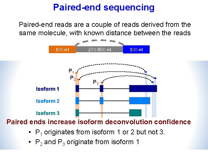 Paired-end sequencing Paired-end reads are a couple of reads derived from the same molecule,