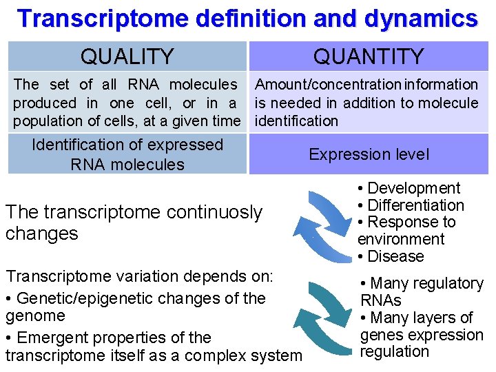 Transcriptome definition and dynamics QUALITY QUANTITY The set of all RNA molecules Amount/concentration information
