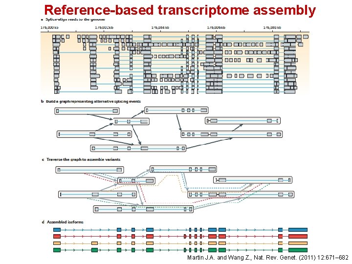 Reference-based transcriptome assembly Martin J. A. and Wang Z. , Nat. Rev. Genet. (2011)