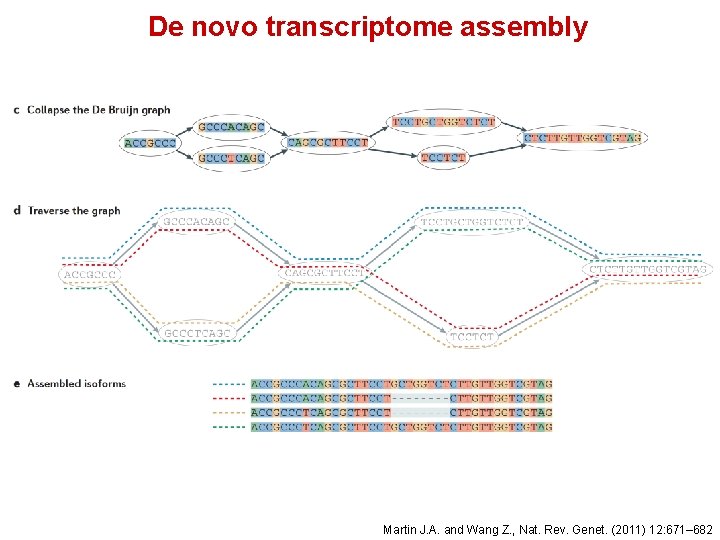 De novo transcriptome assembly Martin J. A. and Wang Z. , Nat. Rev. Genet.