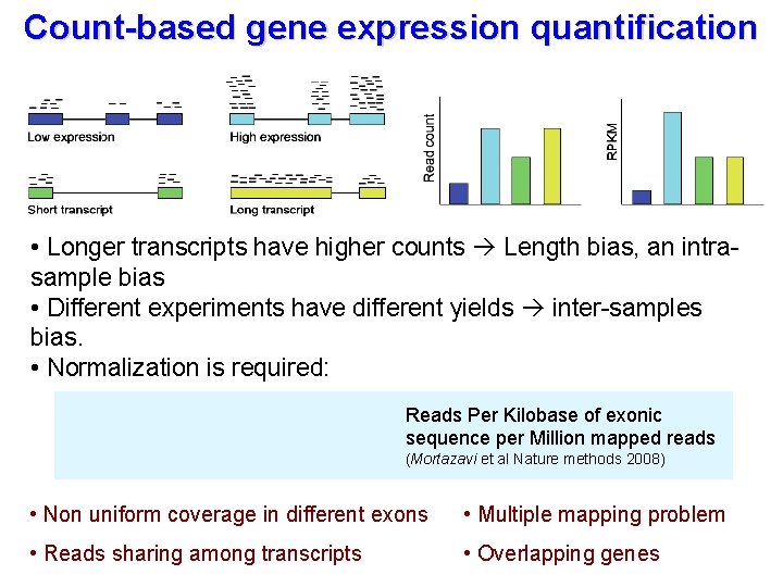 Count-based gene expression quantification • Longer transcripts have higher counts Length bias, an intrasample