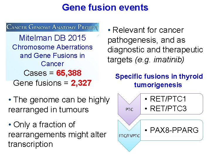 Gene fusion events Mitelman DB 2015 Chromosome Aberrations and Gene Fusions in Cancer •