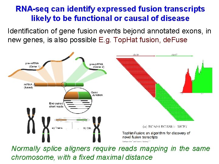 RNA-seq can identify expressed fusion transcripts likely to be functional or causal of disease