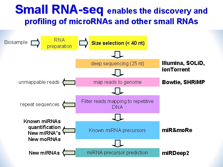 Small RNA-seq enables the discovery and profiling of micro. RNAs and other small RNAs