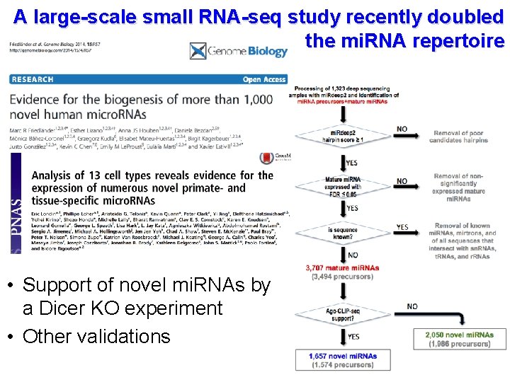 A large-scale small RNA-seq study recently doubled the mi. RNA repertoire • Support of