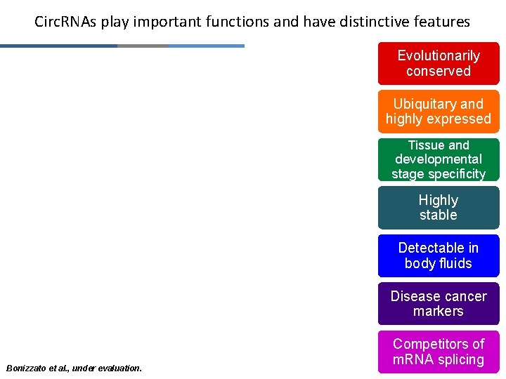 Circ. RNAs play important functions and have distinctive features Evolutionarily conserved Ubiquitary and highly