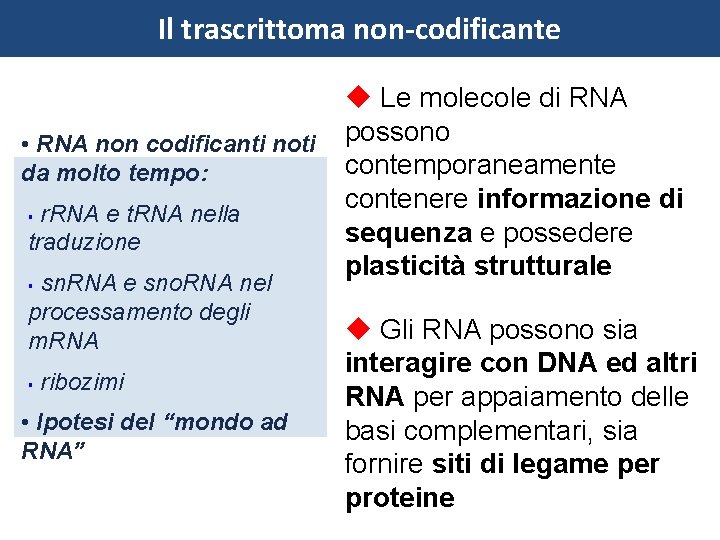 Il trascrittoma non-codificante • RNA non codificanti noti da molto tempo: r. RNA e