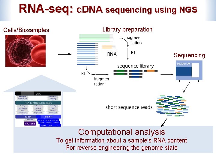 RNA-seq: c. DNA sequencing using NGS Cells/Biosamples Library preparation Sequencing Computational analysis To get