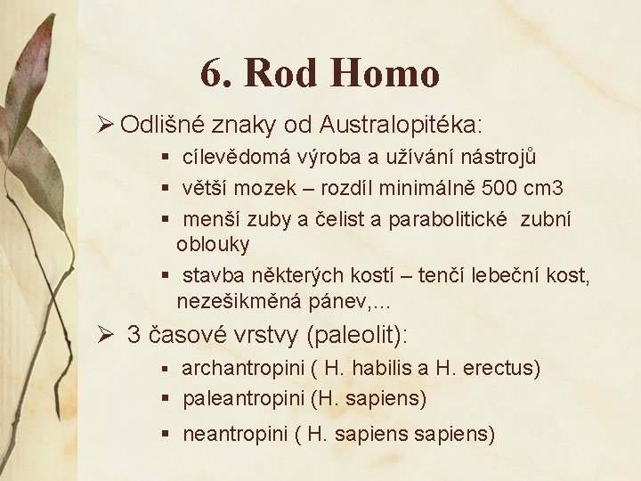 6. Rod Homo Ø Odlišné znaky od Australopitéka: § cílevědomá výroba a užívání nástrojů