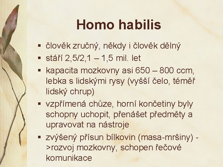 Homo habilis § člověk zručný, někdy i člověk dělný § stáří 2, 5/2, 1