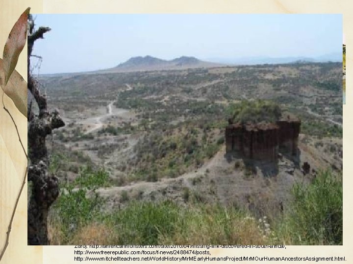 § Nálezy: § Olduvajská rokle § V Afrika, 25 km dlouhá, zasahuje do pánve