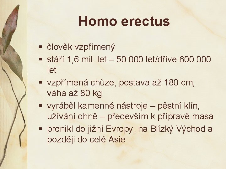 Homo erectus § člověk vzpřímený § stáří 1, 6 mil. let – 50 000