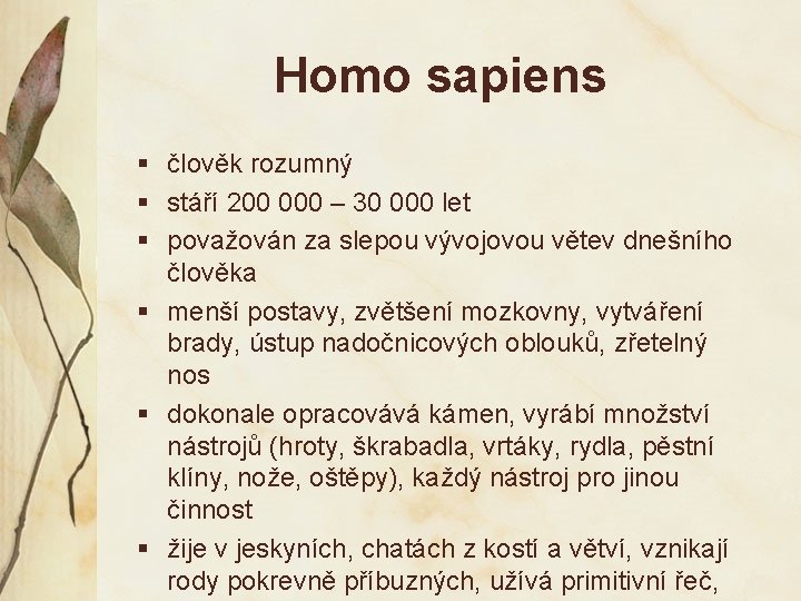 Homo sapiens § člověk rozumný § stáří 200 000 – 30 000 let §