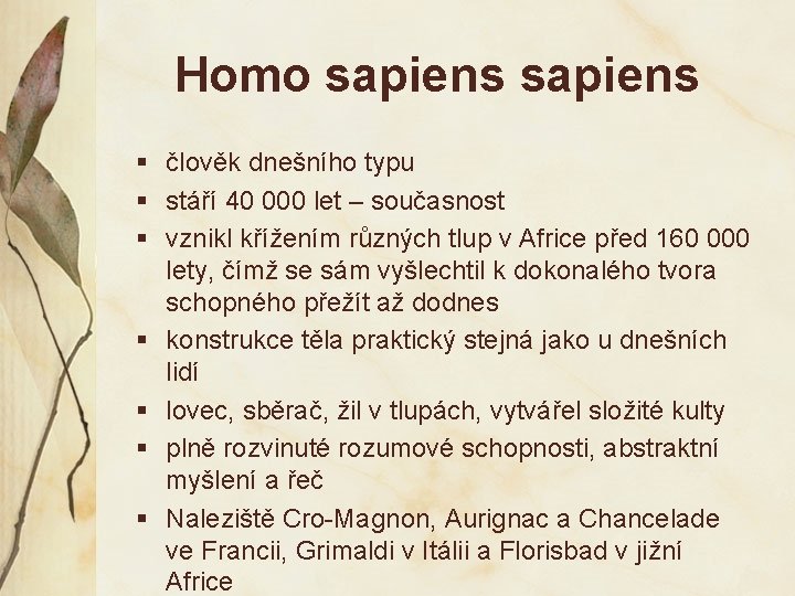 Homo sapiens § člověk dnešního typu § stáří 40 000 let – současnost §