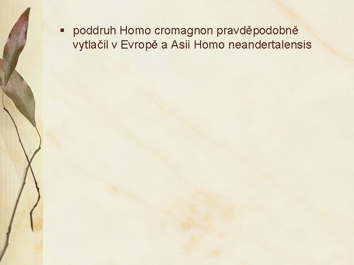 § poddruh Homo cromagnon pravděpodobně vytlačil v Evropě a Asii Homo neandertalensis 