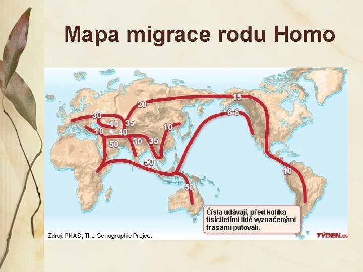 Mapa migrace rodu Homo 