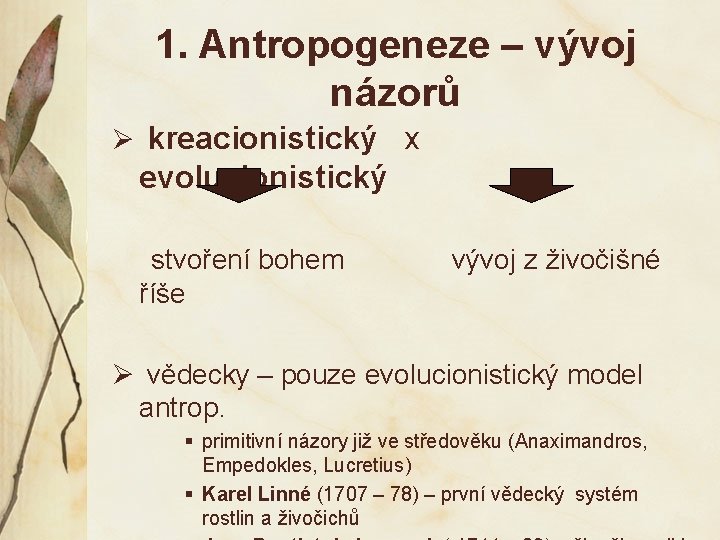 1. Antropogeneze – vývoj názorů Ø kreacionistický x evolucionistický stvoření bohem vývoj z živočišné