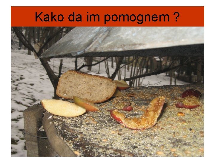 Kako da im pomognem ? 