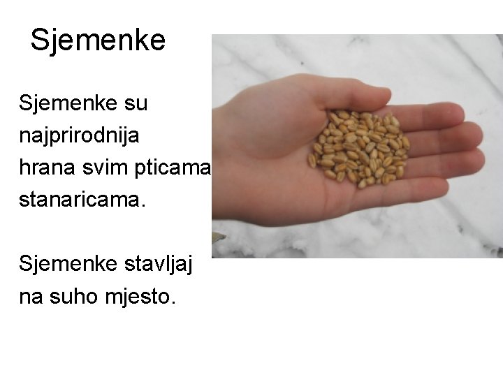 Sjemenke su najprirodnija hrana svim pticama stanaricama. Sjemenke stavljaj na suho mjesto. 