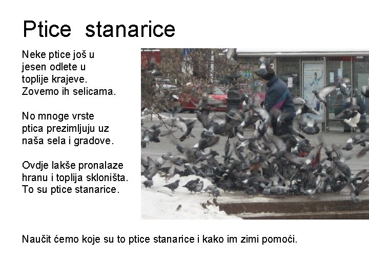 Ptice stanarice Neke ptice još u jesen odlete u toplije krajeve. Zovemo ih selicama.