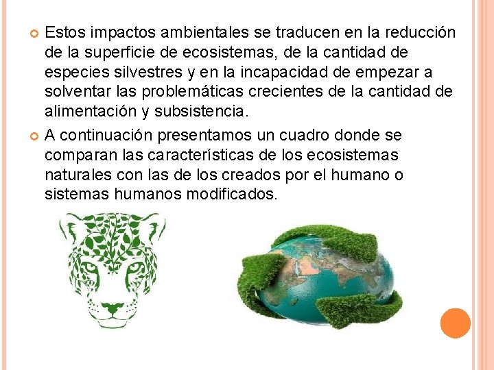 Estos impactos ambientales se traducen en la reducción de la superficie de ecosistemas, de