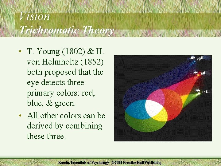 Vision Trichromatic Theory • T. Young (1802) & H. von Helmholtz (1852) both proposed