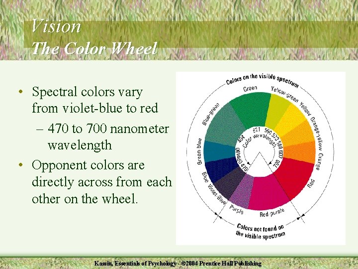 Vision The Color Wheel • Spectral colors vary from violet-blue to red – 470