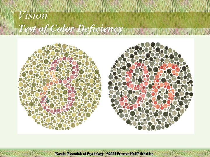 Vision Test of Color Deficiency Kassin, Essentials of Psychology - © 2004 Prentice Hall