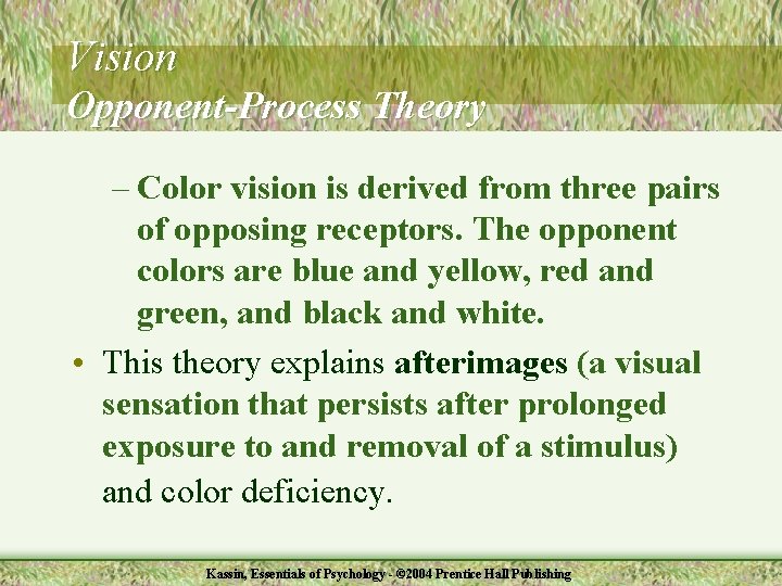 Vision Opponent-Process Theory – Color vision is derived from three pairs of opposing receptors.