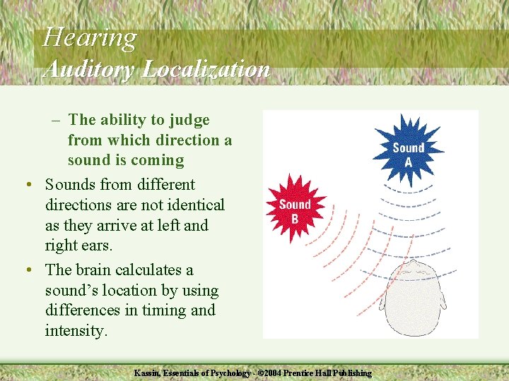 Hearing Auditory Localization – The ability to judge from which direction a sound is