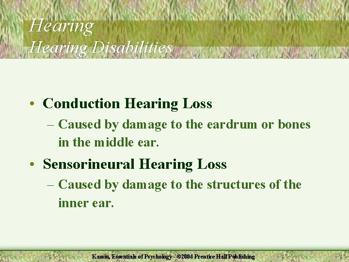 Hearing Disabilities • Conduction Hearing Loss – Caused by damage to the eardrum or