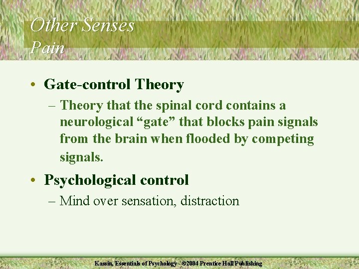 Other Senses Pain • Gate-control Theory – Theory that the spinal cord contains a