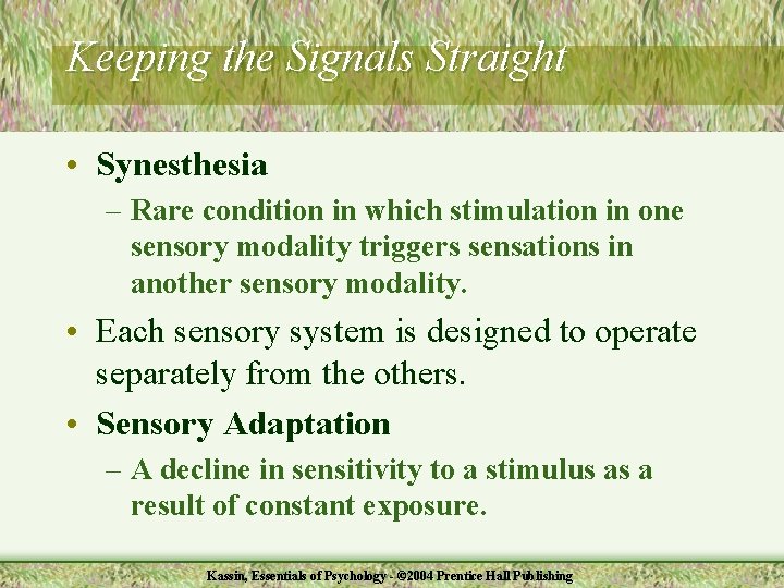 Keeping the Signals Straight • Synesthesia – Rare condition in which stimulation in one