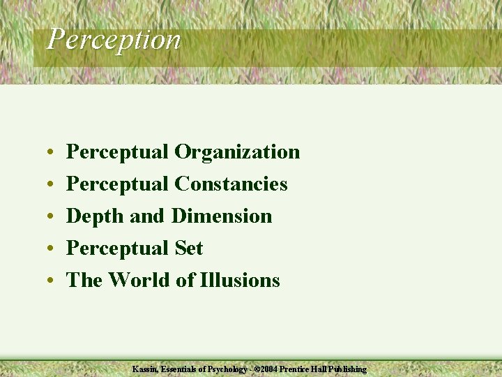 Perception • • • Perceptual Organization Perceptual Constancies Depth and Dimension Perceptual Set The