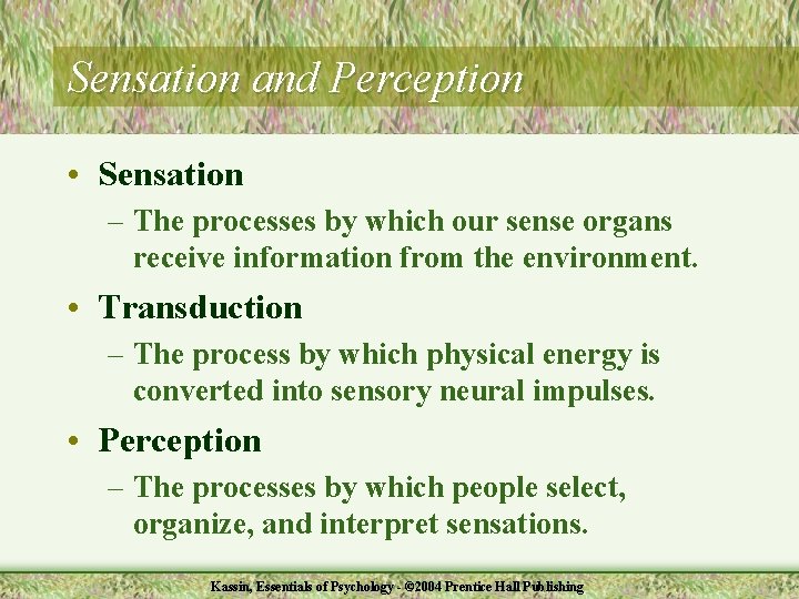 Sensation and Perception • Sensation – The processes by which our sense organs receive
