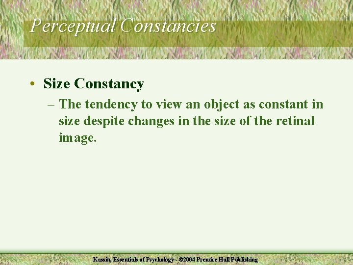 Perceptual Constancies • Size Constancy – The tendency to view an object as constant