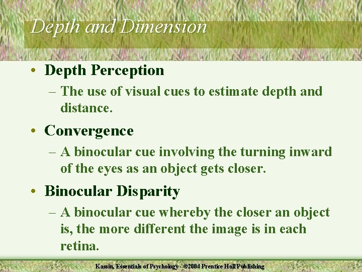 Depth and Dimension • Depth Perception – The use of visual cues to estimate