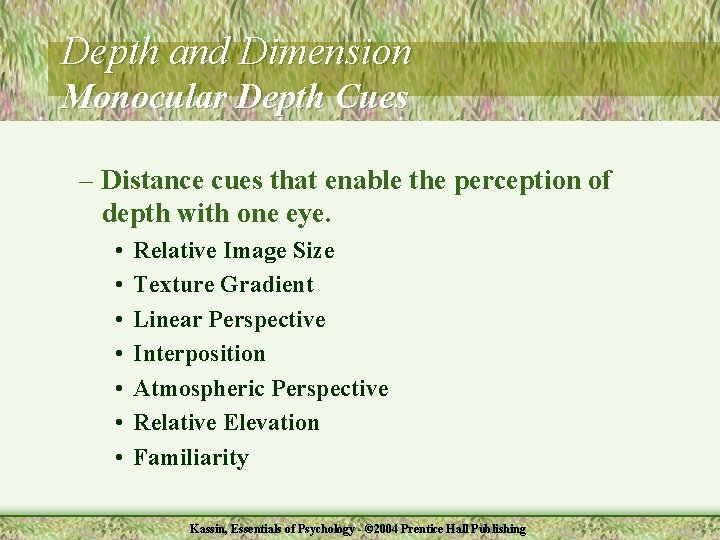 Depth and Dimension Monocular Depth Cues – Distance cues that enable the perception of