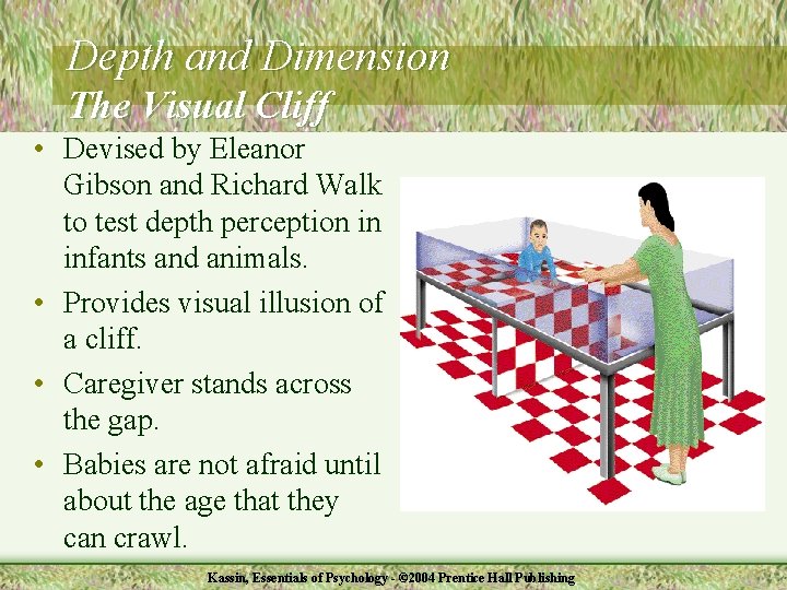 Depth and Dimension The Visual Cliff • Devised by Eleanor Gibson and Richard Walk