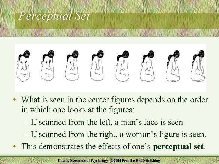 Perceptual Set • What is seen in the center figures depends on the order