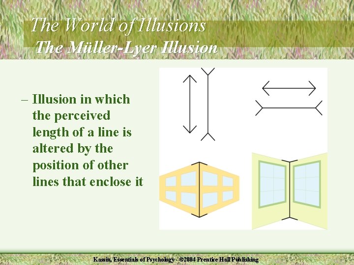 The World of Illusions The Müller-Lyer Illusion – Illusion in which the perceived length