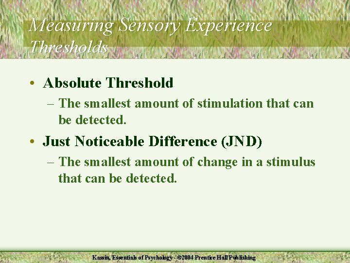 Measuring Sensory Experience Thresholds • Absolute Threshold – The smallest amount of stimulation that