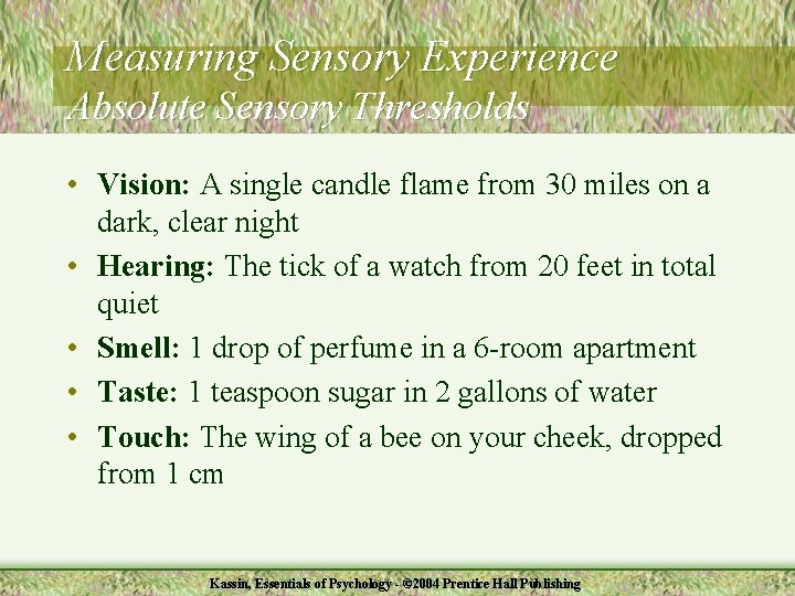 Measuring Sensory Experience Absolute Sensory Thresholds • Vision: A single candle flame from 30